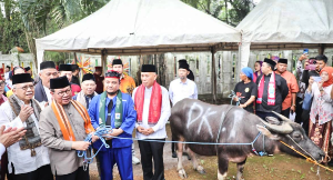 Pramono Dorong Tradisi Andilan Kebo Tetap Hidup, Foke: Ini Simbol Gotong Royong Betawi